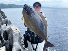 テングハギモドキの釣果