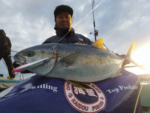 ヒラマサの釣果