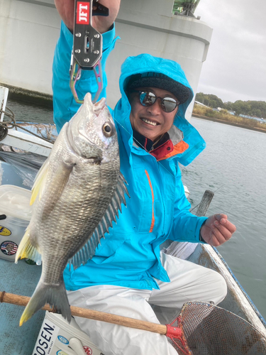 チヌの釣果