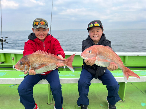 マダイの釣果