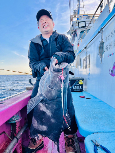 アブラボウズの釣果