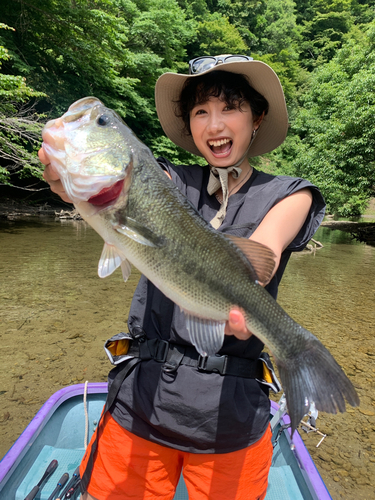 ブラックバスの釣果