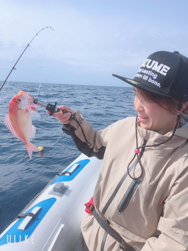 レンコダイの釣果