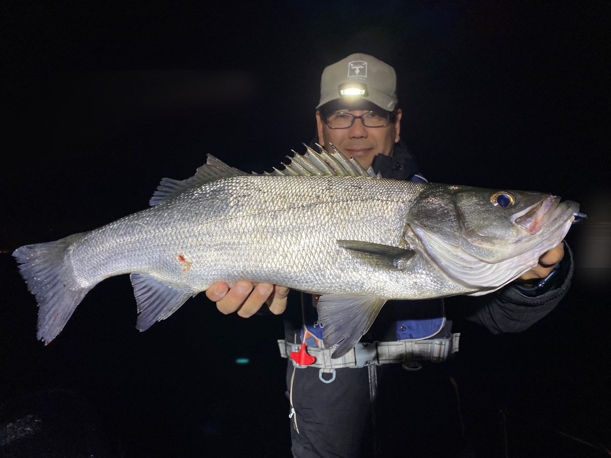 ショア専用アングラーさんの釣果 2枚目の画像