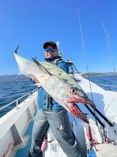 サワラの釣果