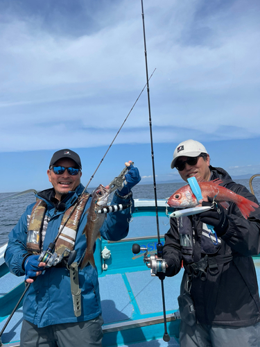 クロムツの釣果