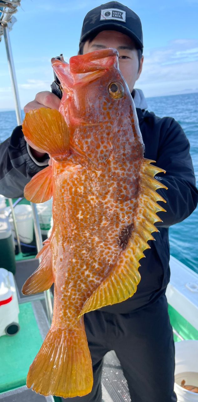 ポケ船長さんの釣果 3枚目の画像