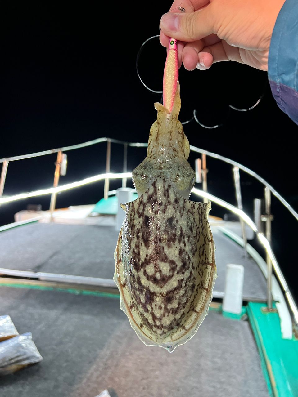 ヨシヨウ（よっしー）さんの釣果 2枚目の画像