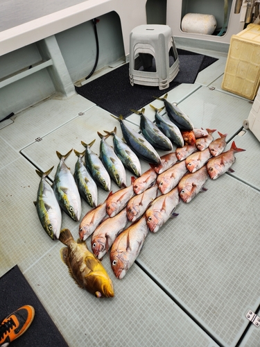 タイの釣果