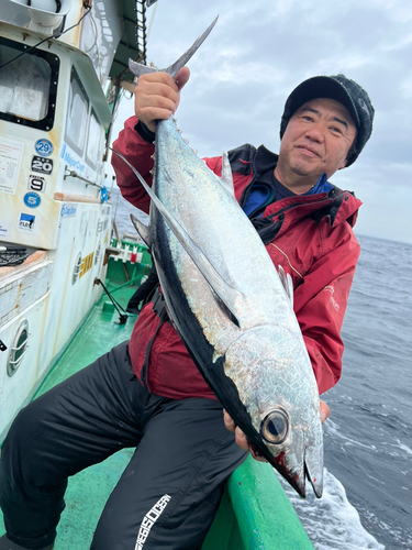 ビンチョウマグロの釣果