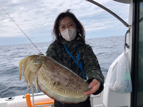 モンゴウイカの釣果