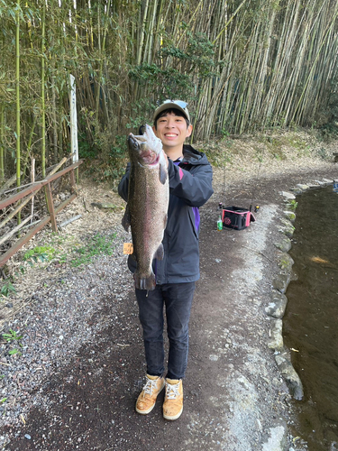 ニジマスの釣果