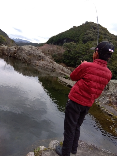 ニジマスの釣果