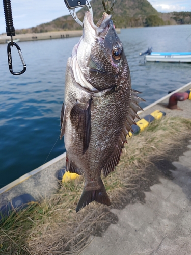 釣果