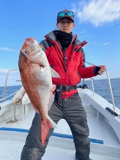 マダイの釣果