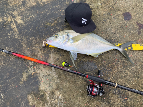 シマアジの釣果