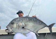 ロウニンアジの釣果