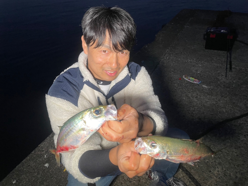 メアジの釣果