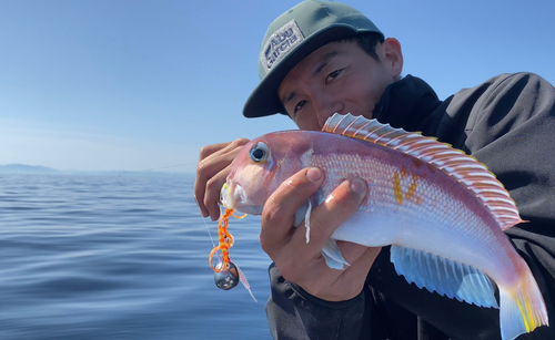 アマダイの釣果