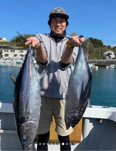 ビンチョウマグロの釣果