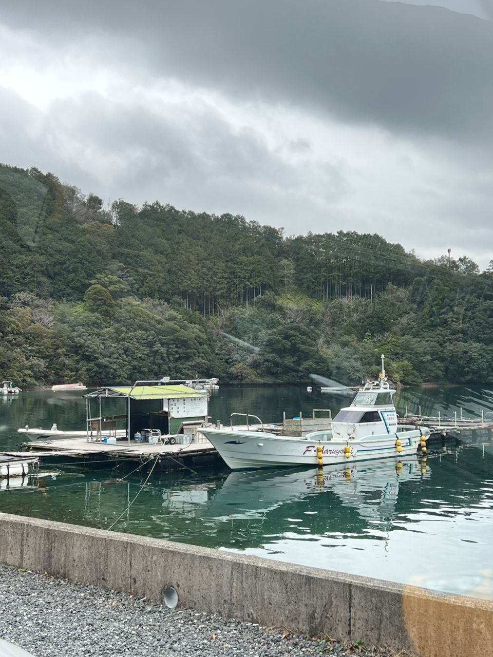 大王愚息虫Lv.4さんの釣果 2枚目の画像