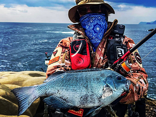 クチブトグレの釣果