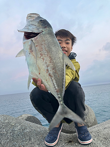 ロウニンアジの釣果