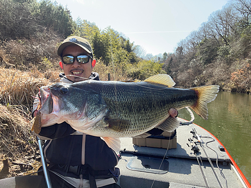 ブラックバスの釣果