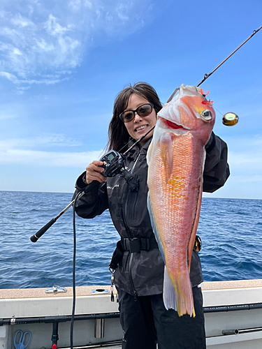 アマダイの釣果