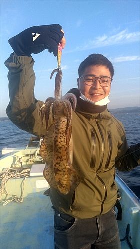 アオリイカの釣果