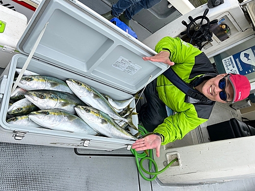 ハマチの釣果