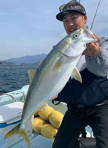 ハマチの釣果