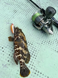 イシミーバイの釣果