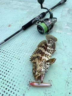 イシミーバイの釣果