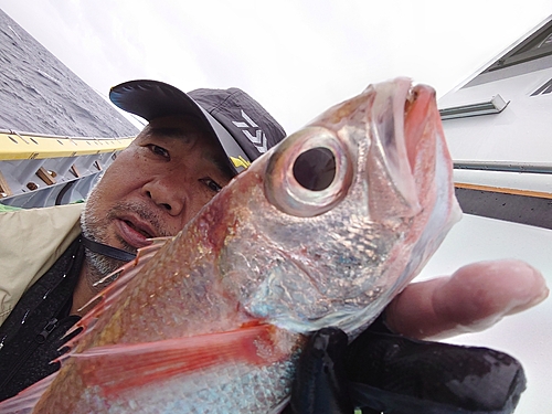 アカムツの釣果