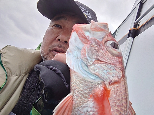 アカムツの釣果