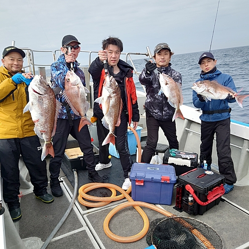 マダイの釣果