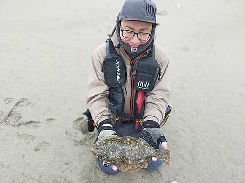 ソゲの釣果