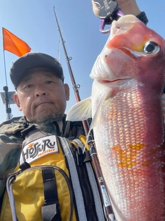 アマダイの釣果