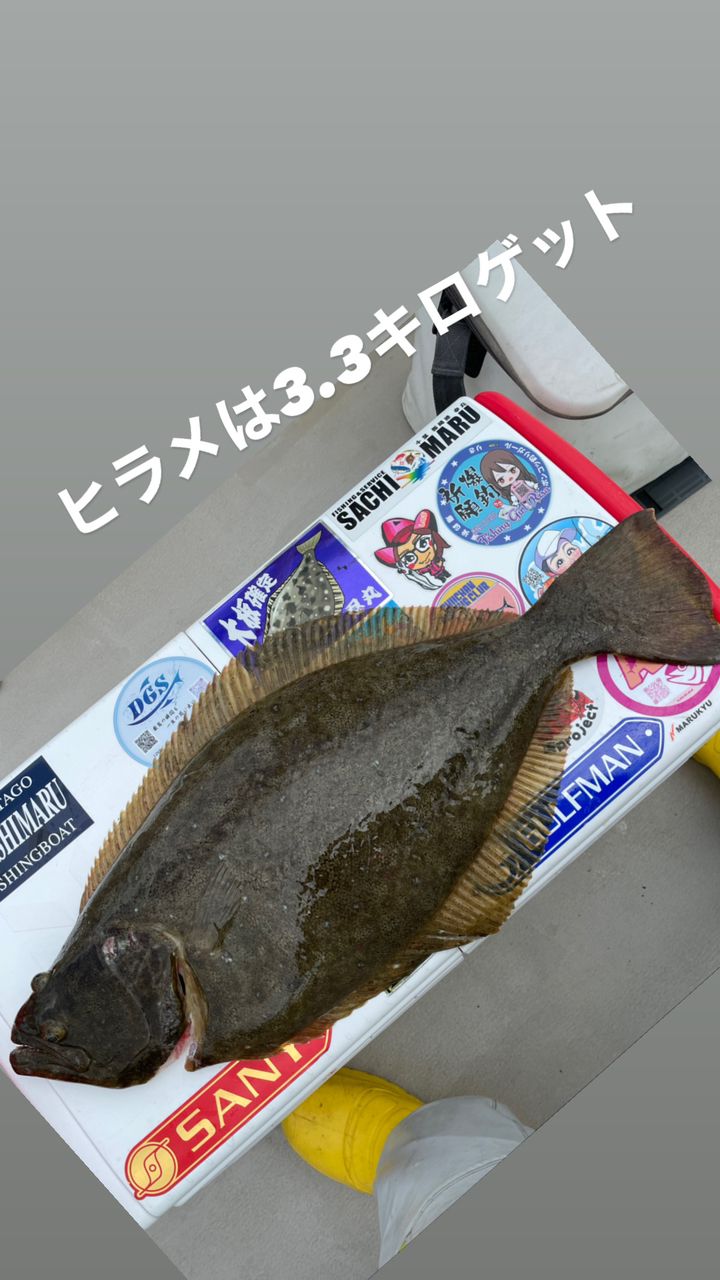 釣りキチ爺さんスーさんの釣果 3枚目の画像