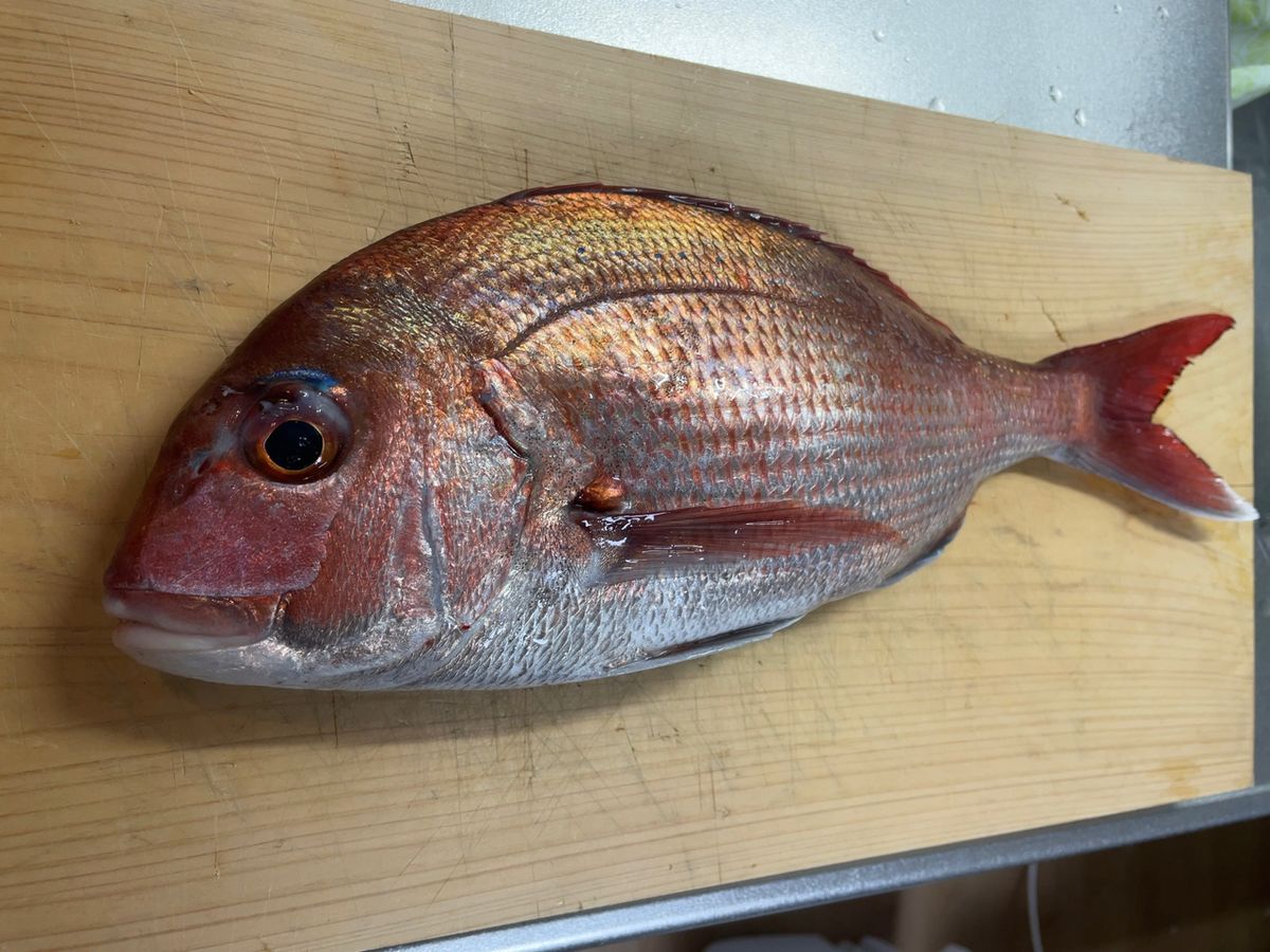 Flying Eagleさんの釣果 2枚目の画像