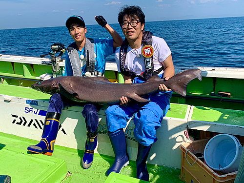 タロウザメの釣果