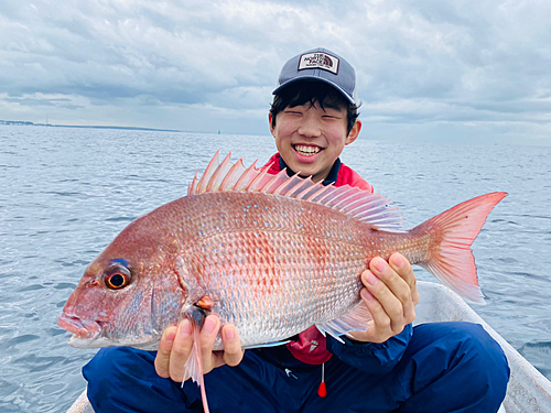 マダイの釣果