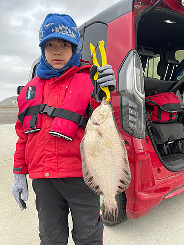 クロガシラガレイの釣果