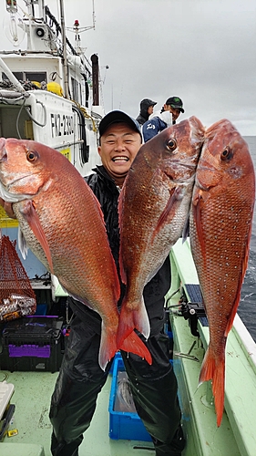 マダイの釣果