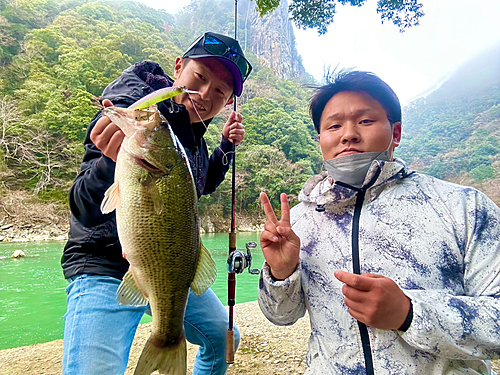 ブラックバスの釣果