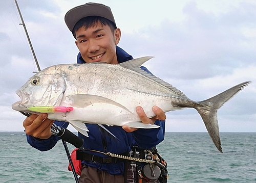 ロウニンアジの釣果