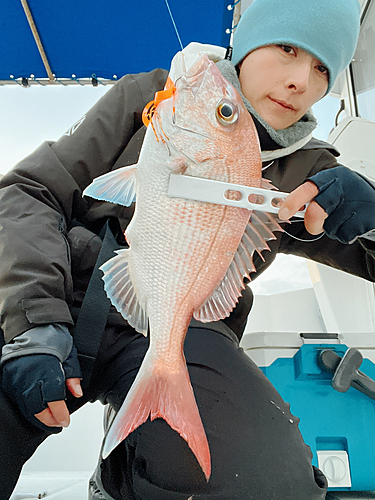 タイの釣果