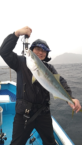 サワラの釣果