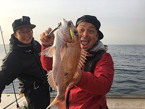 マダイの釣果